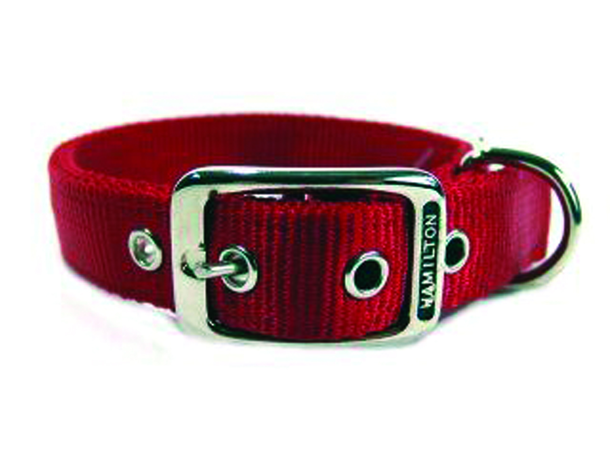 Deluxe Double Thick Nylon Collar - Red - 1" X 20"