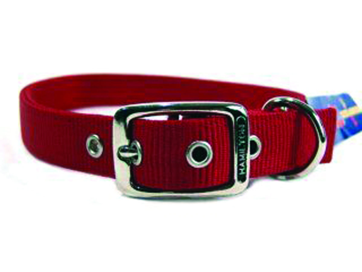 Deluxe Double Thick Nylon Collar - Red - 1" X 26"