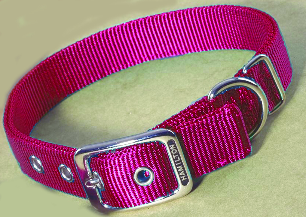 Deluxe Double Thick Nylon Collar - Red - 1" X 30"