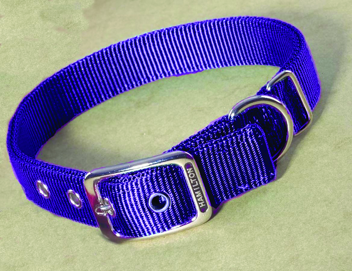 Deluxe Double Thick Nylon Collar - Hot Purple - 1" X 20"