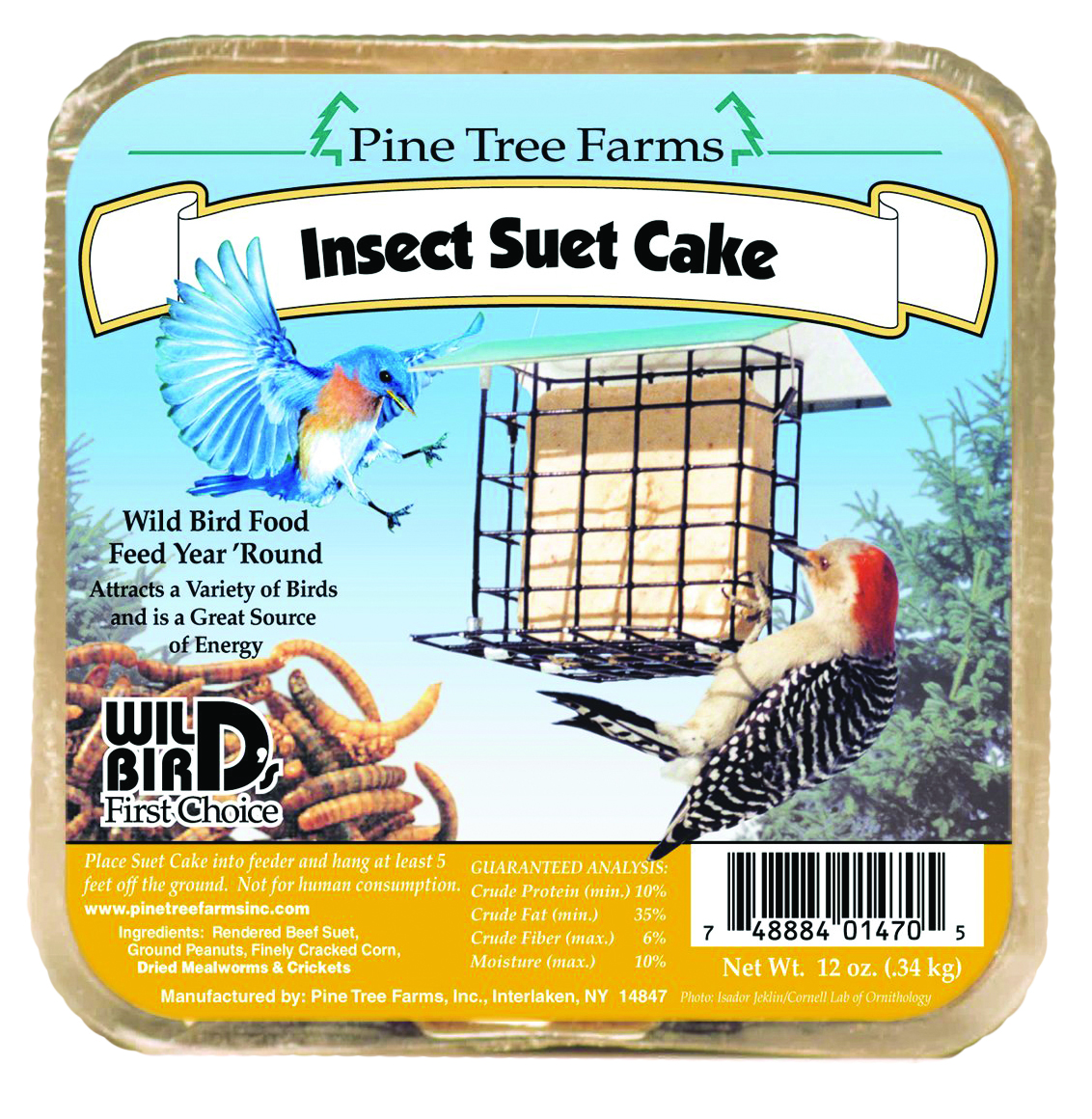 Insect Suet Cake - 12 oz.
