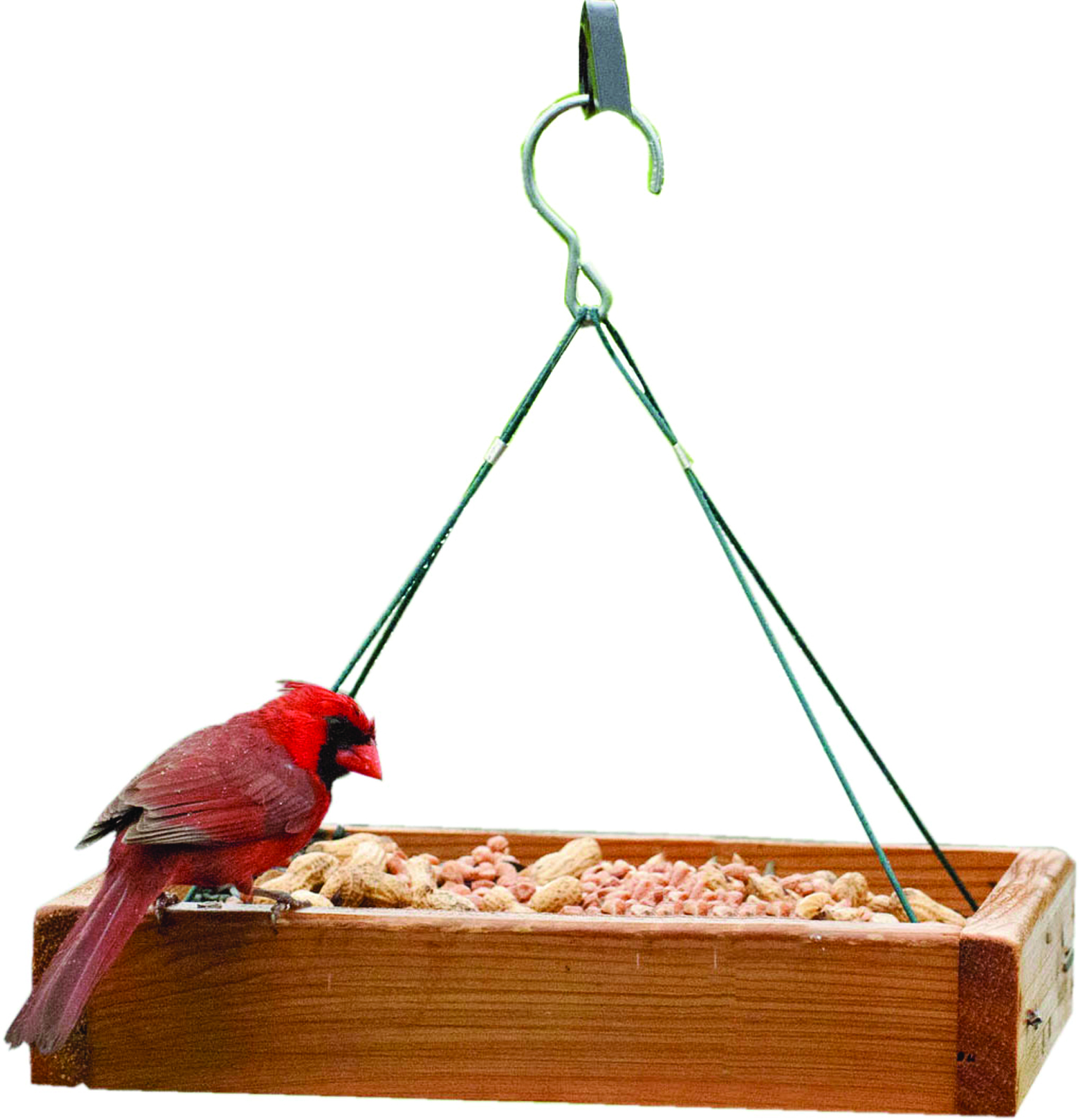 Hanging Platform Bird Feeder
