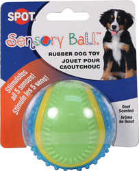 SENSORY BALL RUBBER DOG TOY